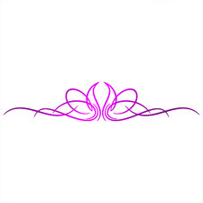 Vinyl Pinstripe Decal -many Sizes And Colors To Choose From- Free Us Shipping Vinyl Pinstripe Decal -many Sizes And Colors To Choose From- Free Us Shipping