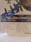 Bild 7 von 20