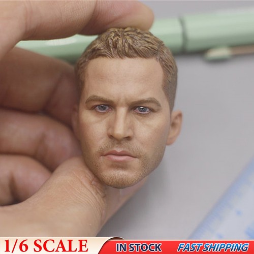 1/6 Scale Paul Walker Man Head Sculpt Fit 12" Hot Toys Male Body Figure Model To
