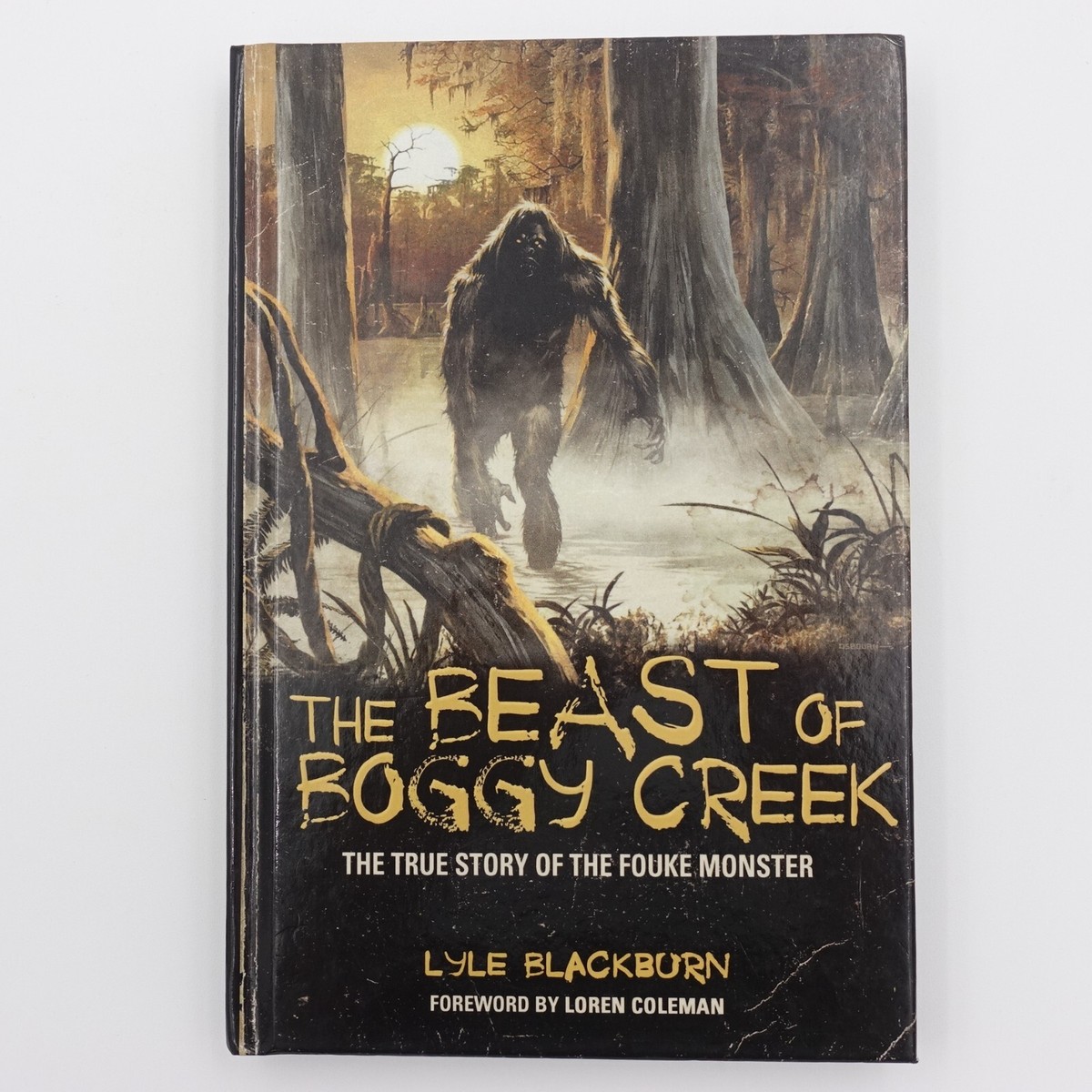 The Beast of Boggy Creek The True Story of the Fouke Monster