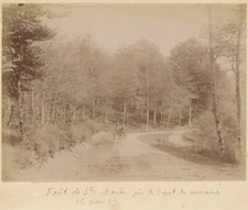 Forêt de Sainte-Barbe (Vosges), près du dépôt de merrains. Tirage albuminé 1889