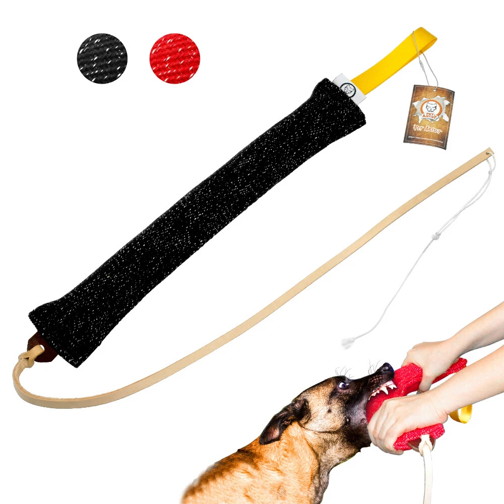 Durable Dog Bite Tug & Whip Outdoor Exercise & Training for Medium Large  Dogs