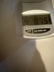 4.8  LBS Wheat  Pennies Bulk