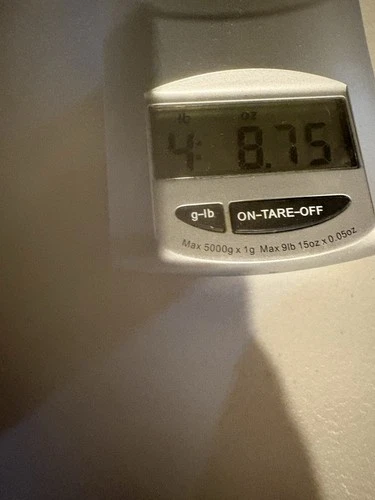 4.8  LBS Wheat  Pennies Bulk