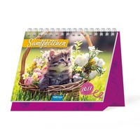 Trötsch - Aufstellkalender SamtpföTchen 2027 Aufstellkalender Tischkalender KG