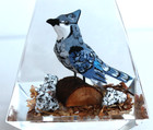 Vintage Hand Carved Painted Blue Jay Lucite/Acrylic Unique Canada Paperweight — photo 5