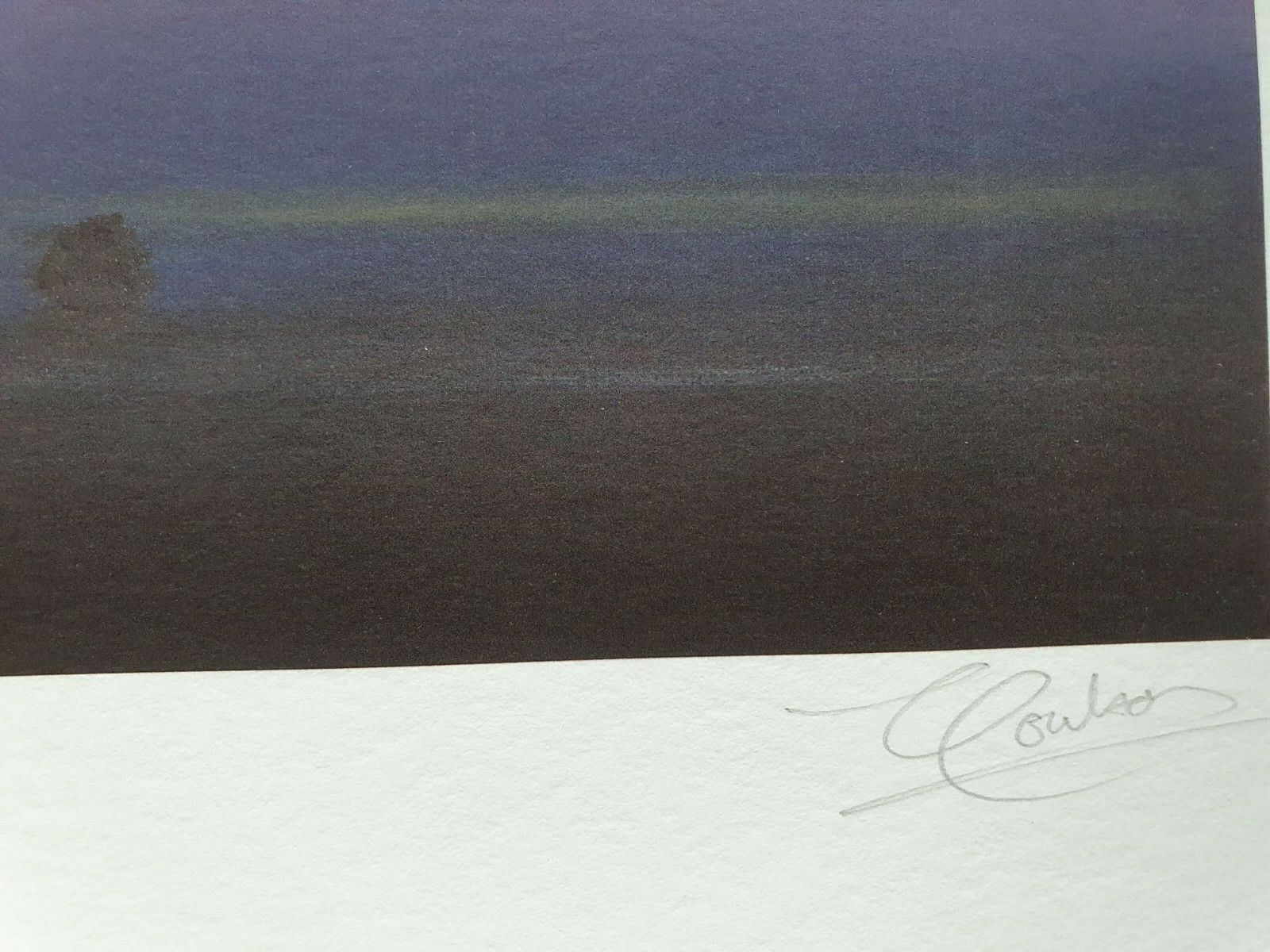 Picture 5 of 5