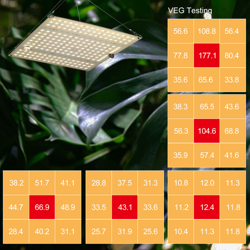 Grow Light Full Spectrum LED 1000W 4x4ft for Indoor Plant Growth Coverage Area - Picture 6 of 15