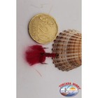 Bild 2 von 2