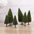 15pcs 1/100 1/150 Grüne Landschaftsmodell Zedernbäume Landschaftsbaummodell