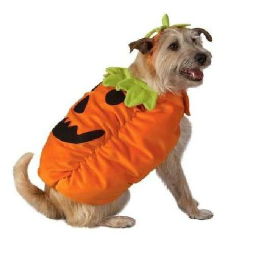 Jack - o - Linterna Perro Disfraz Grande Calabaza Otoño Halloween Mascota Nuevo