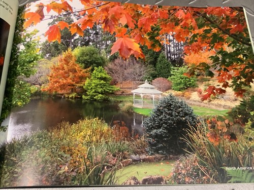 Our Golden Dream Emu Valley Rhododendrum Garden Burnie Tasmania Book - Picture 6 of 12