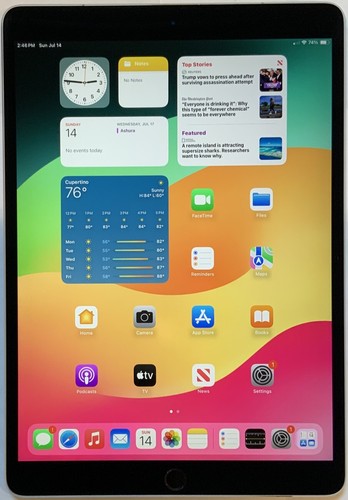 GSM UNLOCKED Wi-Fi + 4G APPLE iPad PRO 1st GEN 10.5" 256GB A1709 MPHG2LL/A - Afbeelding 2 van 7