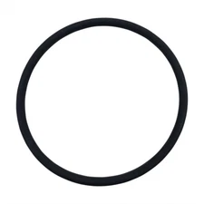 Pentair Rainbow 300 320 Chlorinator Lid O-Ring R172009 O-283 Replacement Part