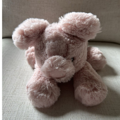  ♡ Smudge Pig Amazon.com: Jellycat Smudge Pig - Jellycat Spring Collection 2026