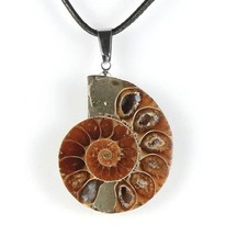 Collana Pendente Pietra Ammonite Fossili Conchiglia Lumaca Portafortuna Unisex