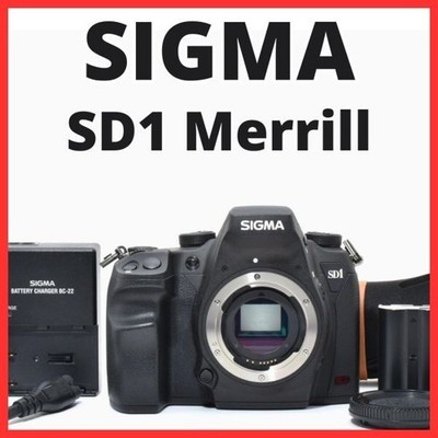 B24[7371A]66 MINT Sigma SD1 Merrill Body