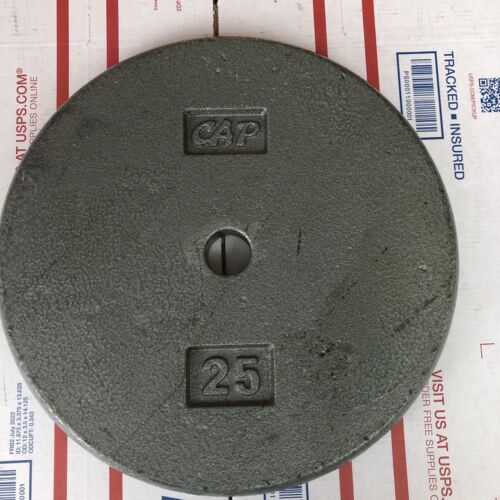 25 Lb CAP Standard Size Pancake Style Weight Plate 1” Hole Silver 25 Lbs Total - Picture 1 of 11