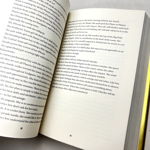 Endgame by James Frey & Nils Johnson-Shelton YA Sci-Fi Dystopian Adventure - Bild 18 von 18
