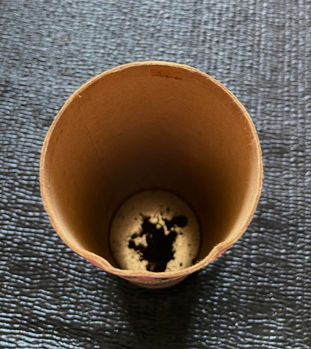 Just The Can Vintage 1963 Pet Time Puppy Party 96 Pc Jigsaw Puzzle Dogs #436 - Picture 3 of 3