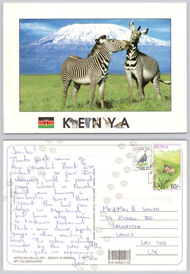 x00733 Zebras Kilimandscharo Kenia Postkarte 2004 Briefmarke