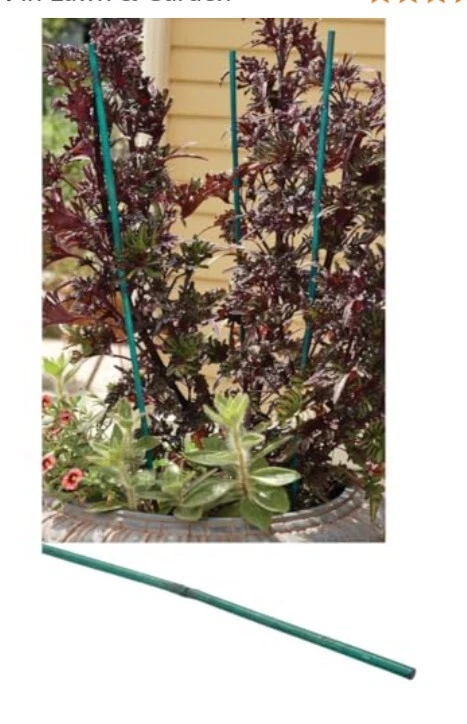 Bond 2 FOOT- Green Coated Bamboo Sturdy/ Strong Garden Stakes #225- Pack of 200 - Image 3 of 4