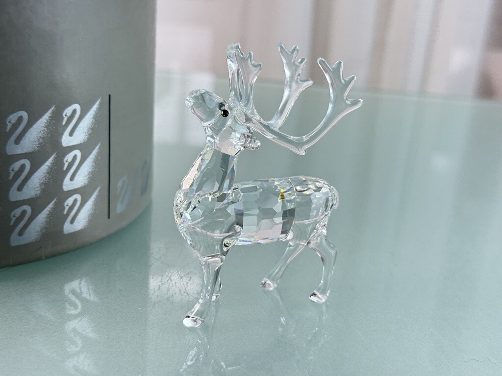 Picture 4 of 4