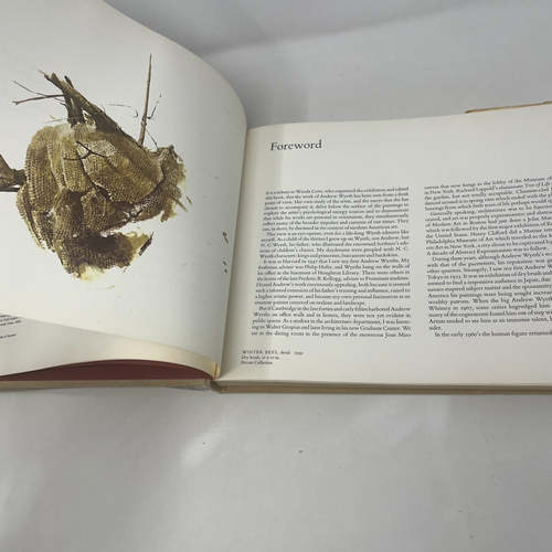 The Art of Andrew Wyeth - 1973 Fine Arts Museums of San Francisco hc - Picture 15 of 24