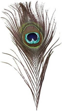 Decorative Green Peacock Feather, Natural Plume for Wedding, Party, Living Room,