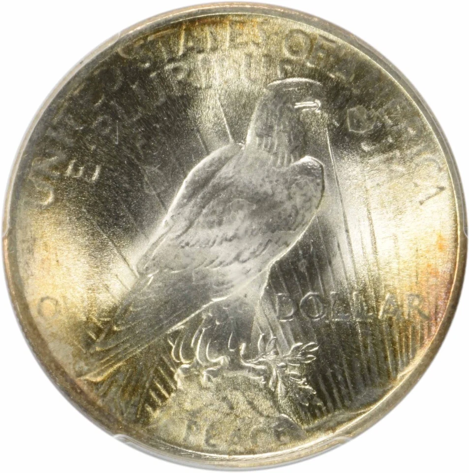 1924 Peace Silver Dollar MS66 PCGS (CAC) - Image 4 of 4