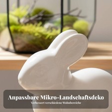 Moderne Dekovase Kompakt und Leicht Dekorative Vase Vielseitig Einsetzbar