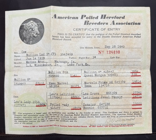 1940 American Polled HEREFORD Breeders Association Entry Certificate BULLION LAD