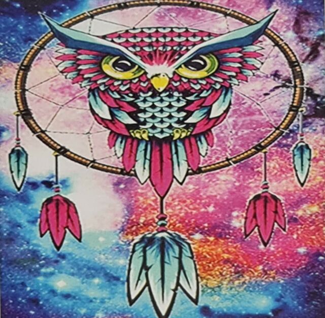 5D Diamond Picture Painting Cross Stitch Art Kit 30x30cm - Dream Catcher Owl