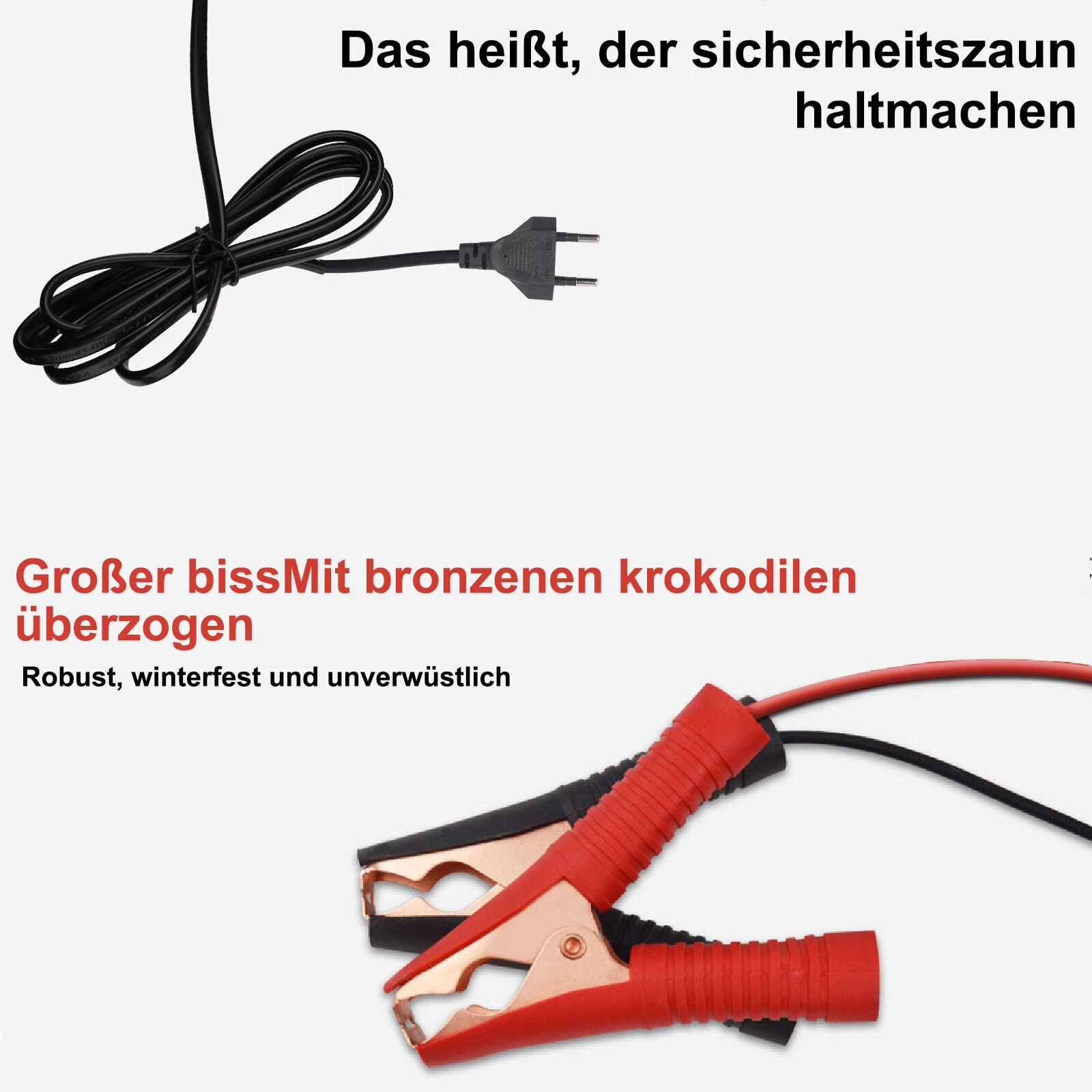 Bild 9 von 12