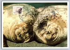 #1882 Wildlife of America Harbor Seal Maxi Card w/Pictorial Cancel