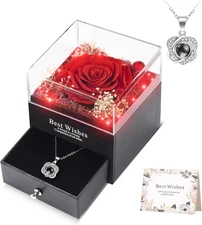 WOKEISE Lighted Preserved Real Rose with I Love You Heart Necklace, Gifts for Ch