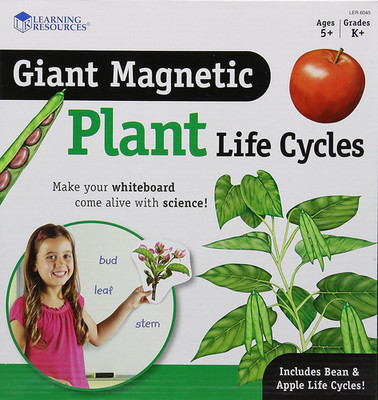 Giant Magnetic Plant Life Cycle - STEM Growing Seed, Montessori Tree , Biology C