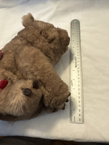 Autentico peluche Jellycat Wonda The Wombat nuovo con etichette 10” difficile da trovare spedizione veloce gratuita! - Foto 24 di 24