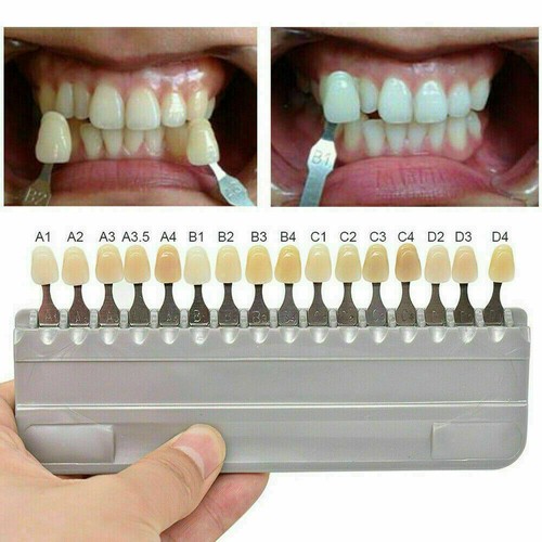 VITA Classical Shade Guide A1D4 with 16 Natural Tooth Colors VITAPAN