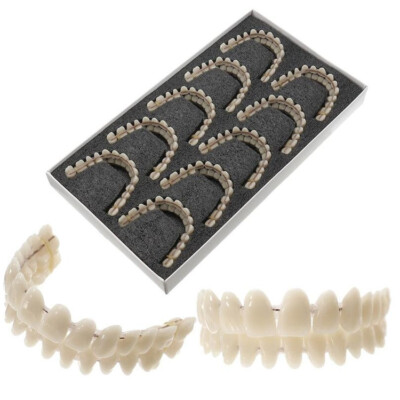 10 Set/Pack Artificial Teeth Denture Acrylic Teeth DIY Upper & Lower Dental Full