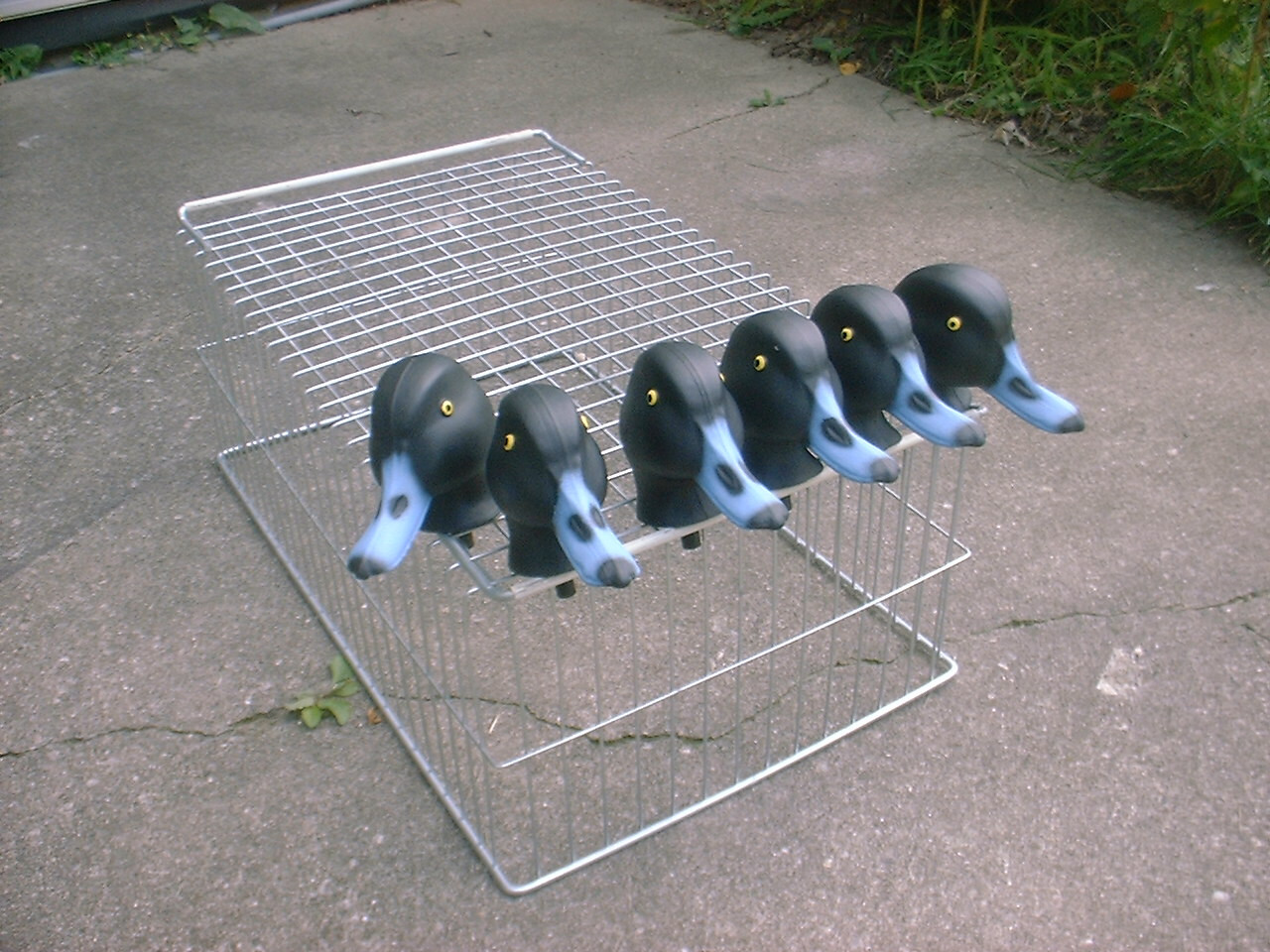 6 Herters Model 72 Drake Bluebill Duck Decoy Heads eBay