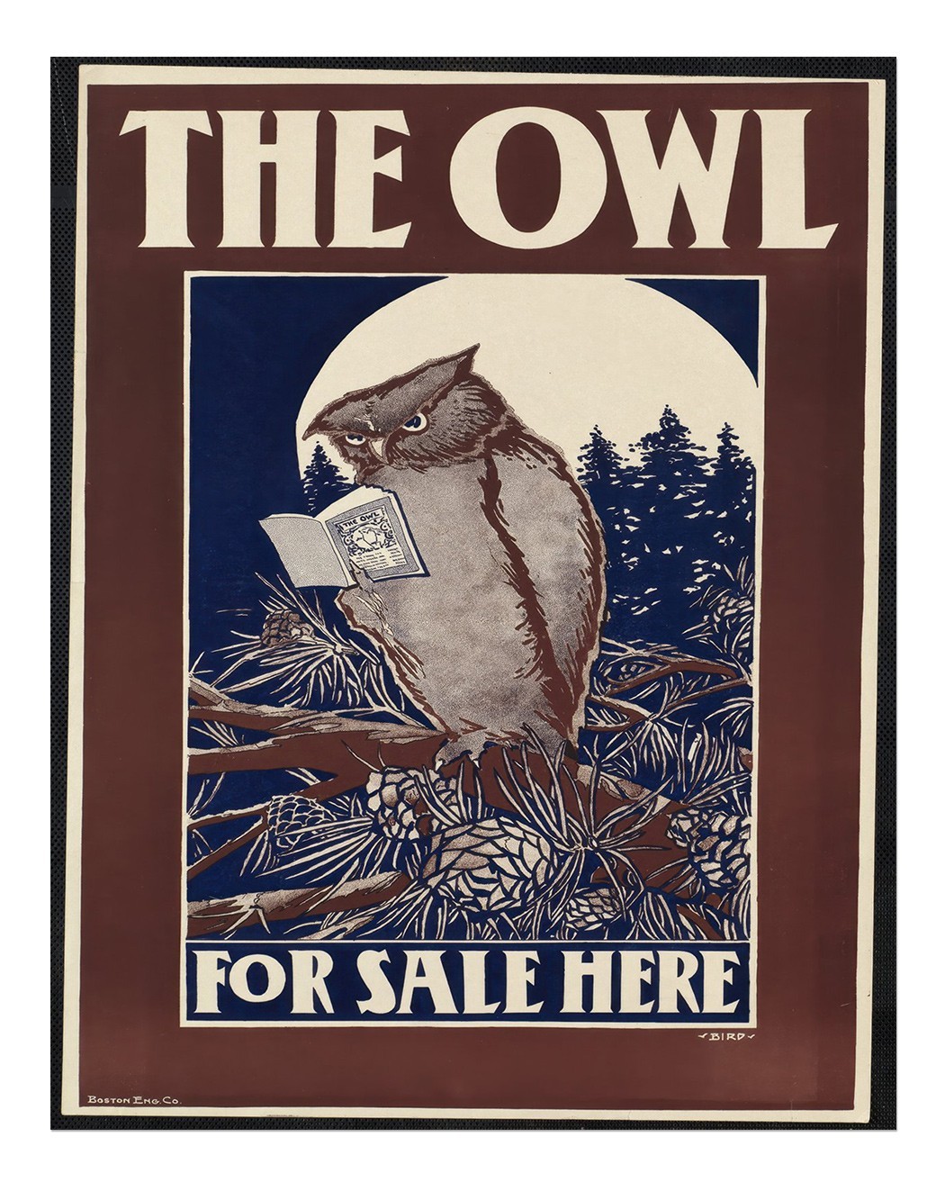Vintage Owl Reading Poster Wall Art - Nature Themed Decor Home Decor