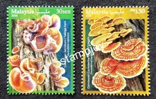 Champignons médicinaux Malaisie 2026 plante fongique alimentaire (timbre) MNH