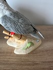 Bild 7 von 12