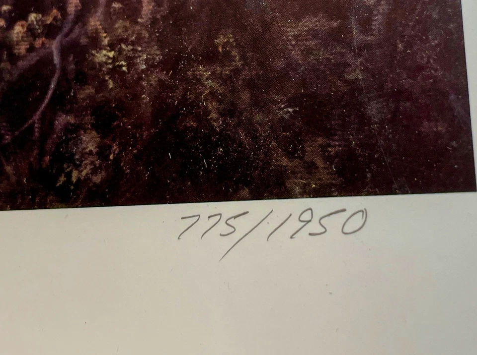 Jesse Barnes "Essence of Spring" Ozarks Edición Limitada Firmado/Numerado 775/1950 Como Nuevo Foto 4 de 4