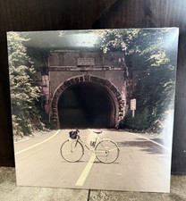 The Backseat Lovers - When We Were Friends Galaxy LP