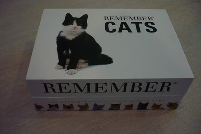 REMEMBER CATS - Memory - Das Gedächtnisspiel - 44 Cats - Spielkarten 5,6x5,6 cm