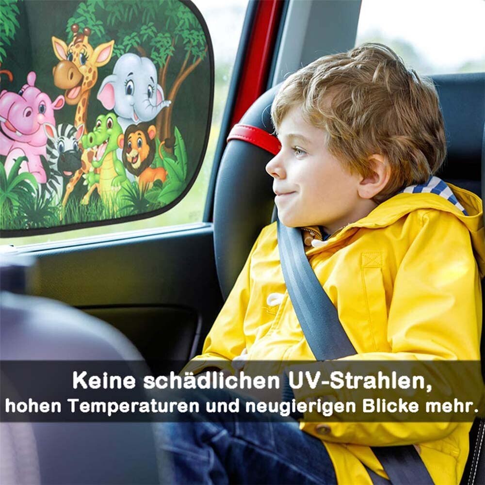 Bild 13 von 15