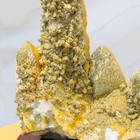 Foto 17 di 24