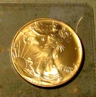 1993 American 1 oz SILVER EAGLE  .999 Fine Silver BU Bullion US Coin